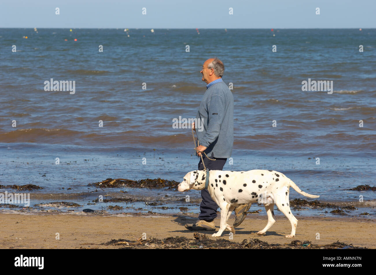 Man Walking dog le long de la plage. Runswick Bay North Yorkshire Angleterre Banque D'Images