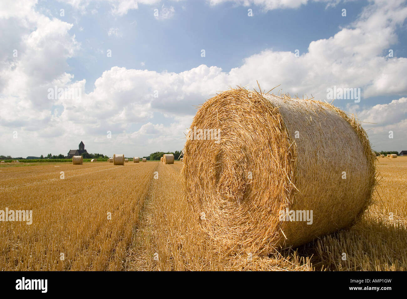 Les balles de paille rondes Banque D'Images