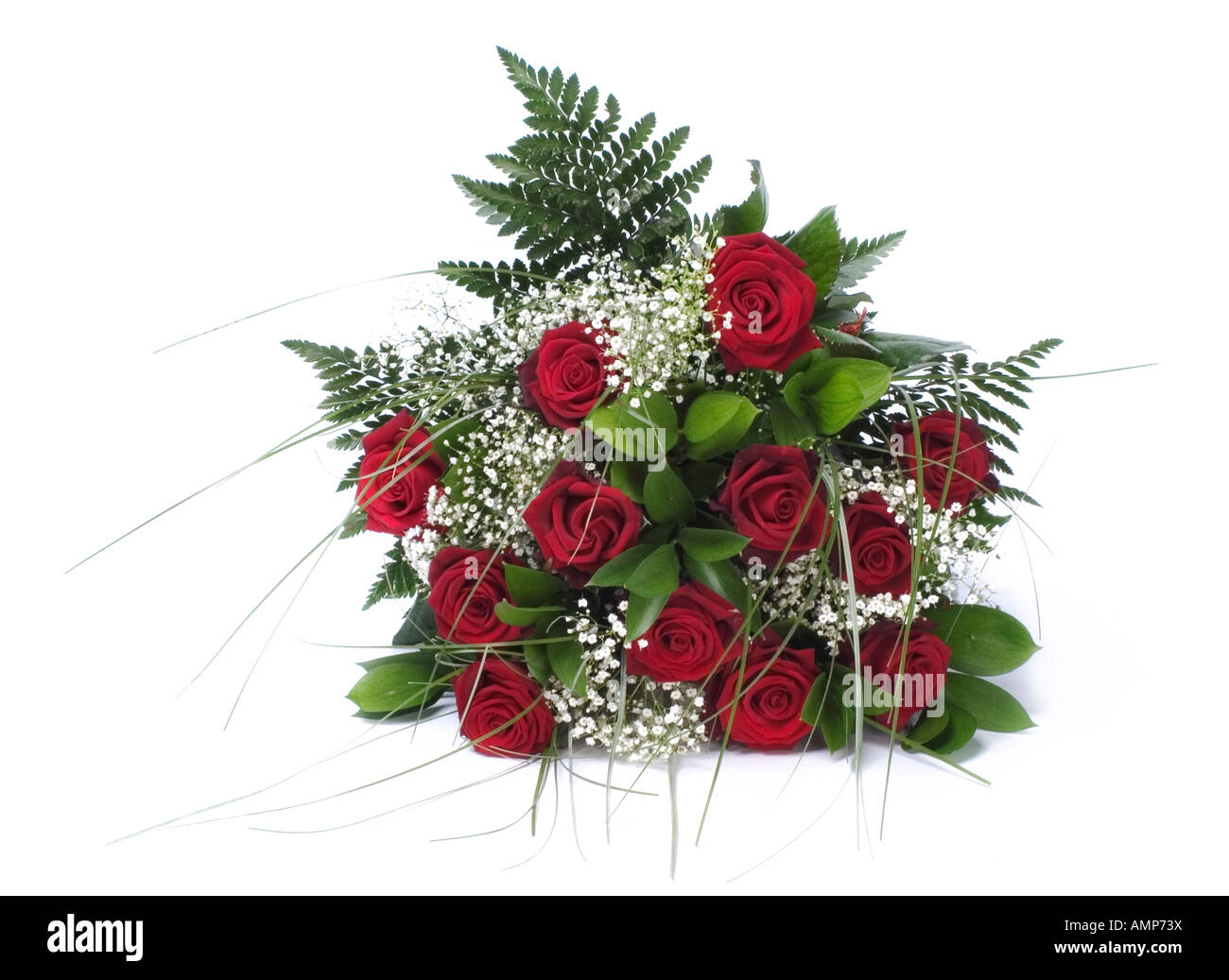 Petit afficheur de roses rouges, blanches et cheveux anges fougères Banque D'Images