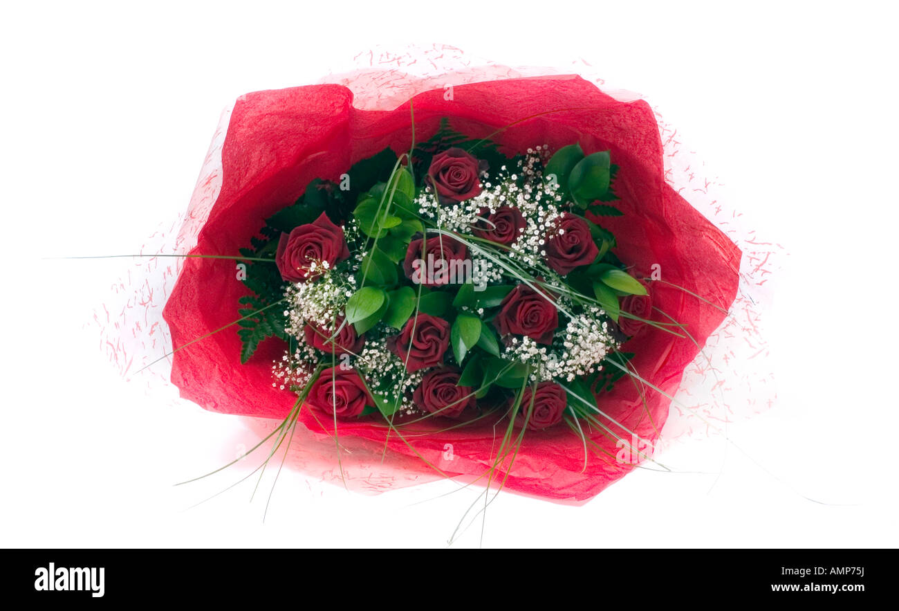 Bouquet de roses rouges, blanches et cheveux anges fougères enveloppé dans du papier rouge avec ruban rouge Banque D'Images