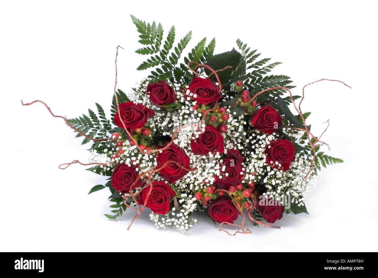 Petit afficheur de roses rouges, blanches et cheveux anges fougères Banque D'Images