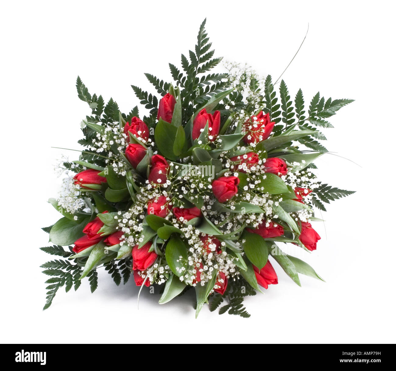 Petit afficheur de roses rouges, blanches et cheveux anges fougères Banque D'Images