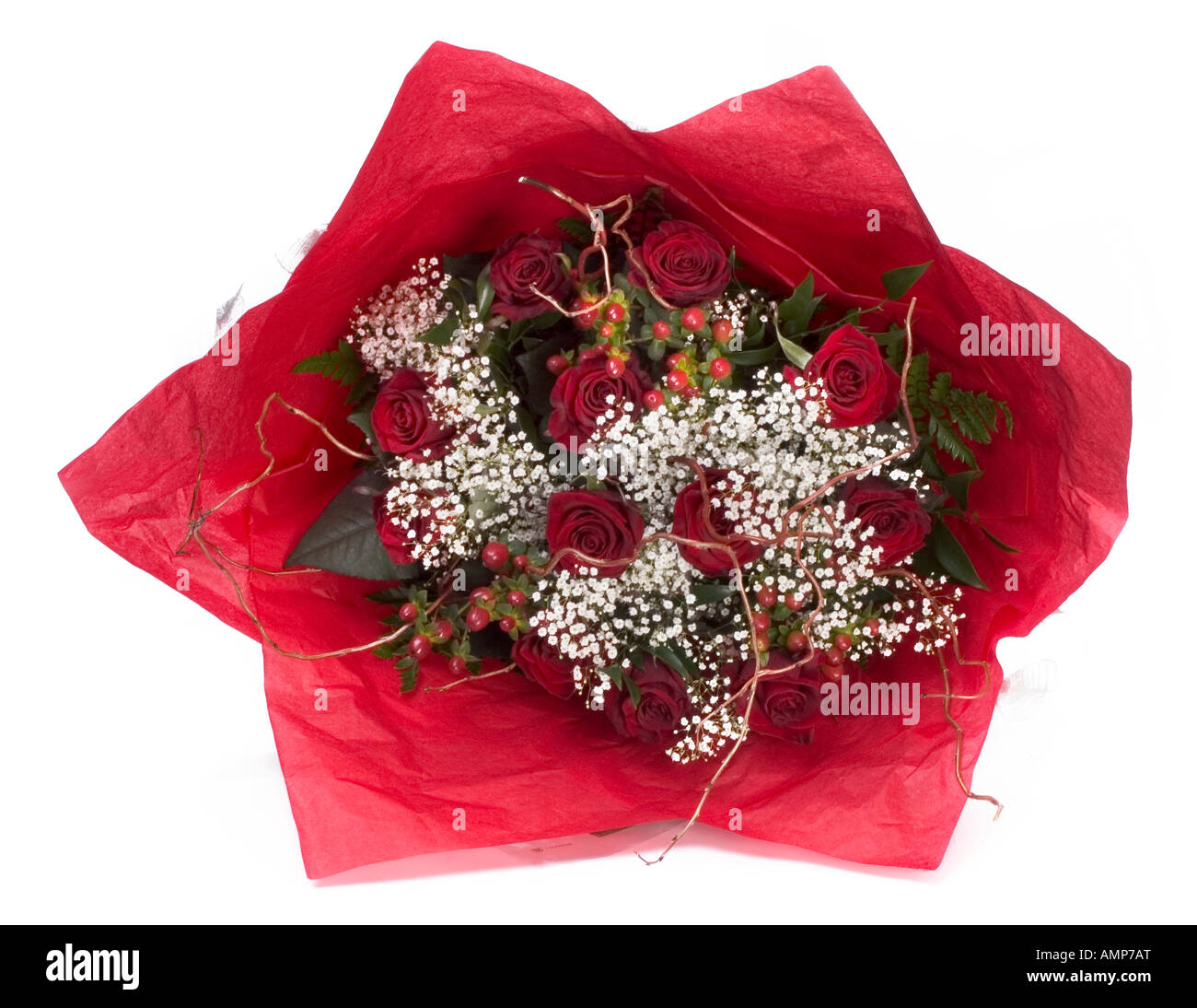 Petit bouquet de roses rouges enveloppées de blanc, les cheveux des anges et feuilles vertes Banque D'Images