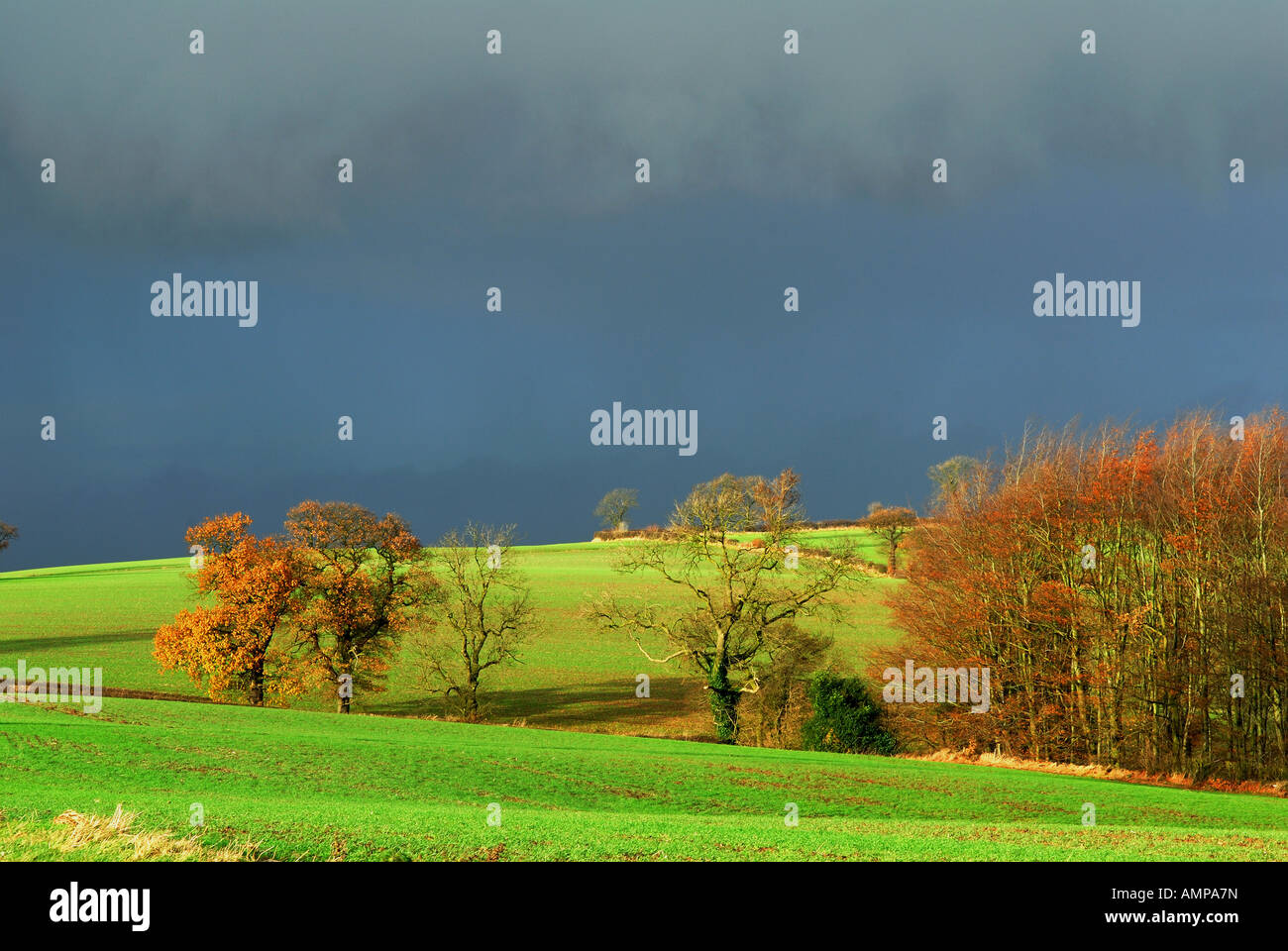 Paysage rural de Bretagne l'agriculture. Banque D'Images