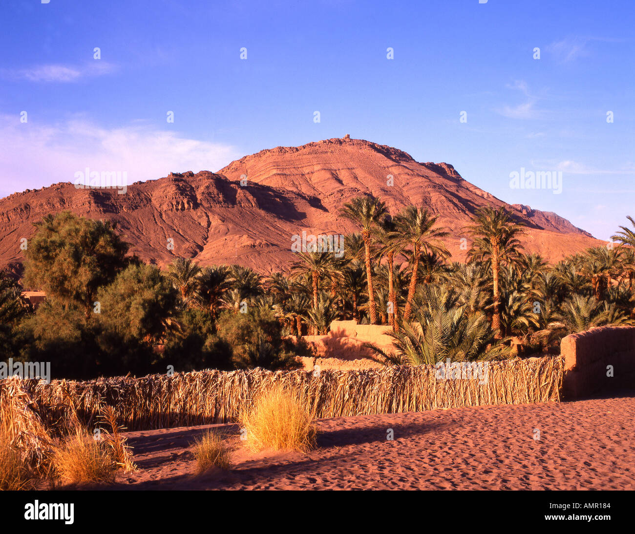 Paysage Du Maroc Photo Stock Alamy