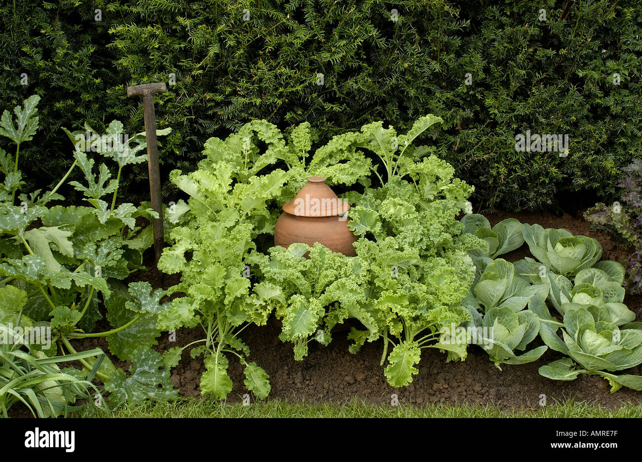 Sekale traditionnels munis d'un forçage clay pot Banque D'Images