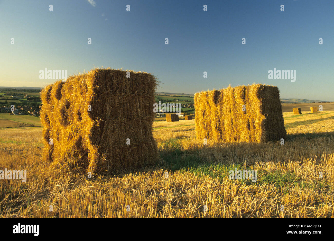 Bottes de paille, la plaine de Salisbury, Wiltshire, Royaume-Uni. Banque D'Images