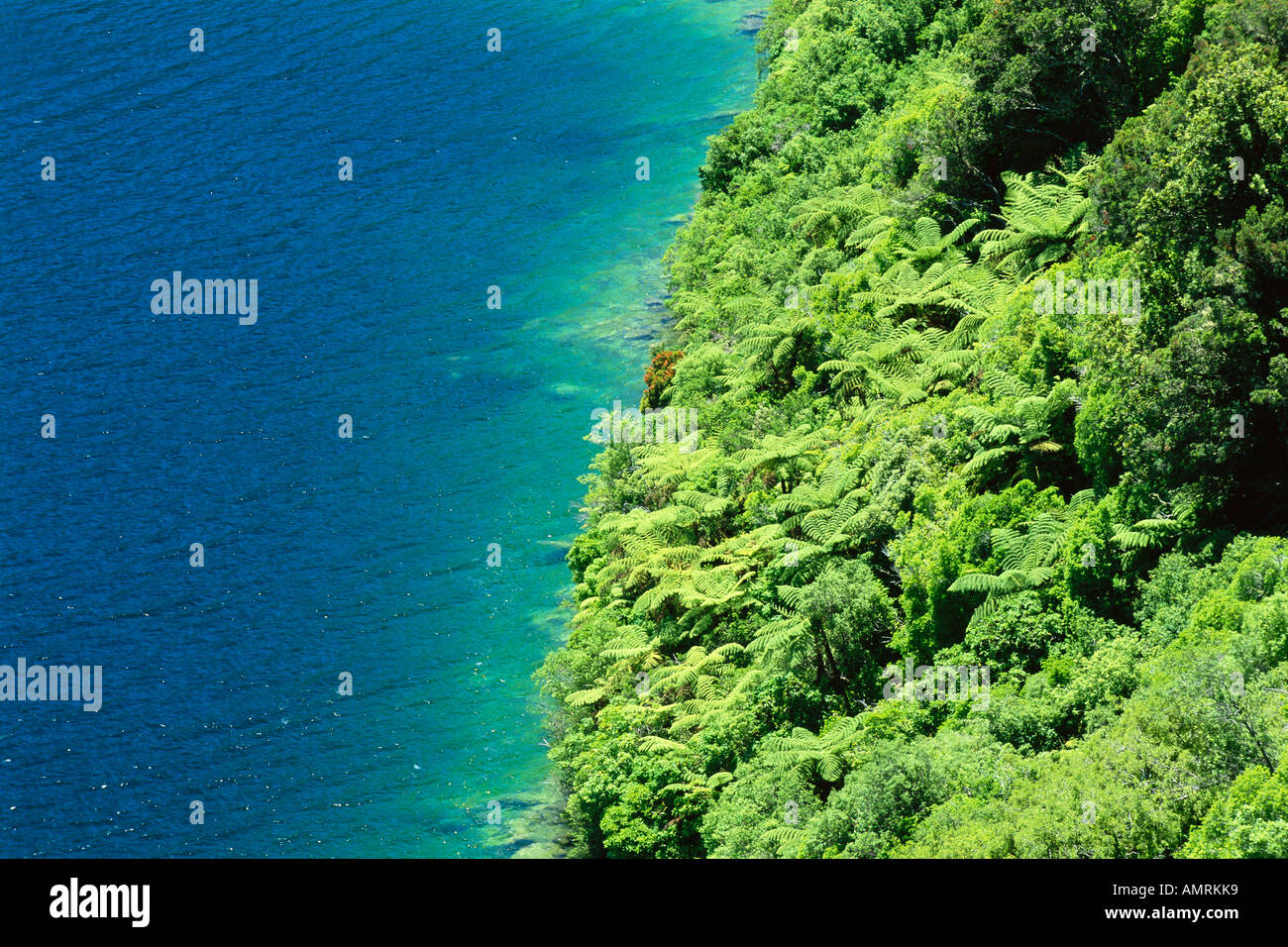 Lake Waikaremoana, Urewera National Park, Nouvelle-Zélande, île du Nord Banque D'Images