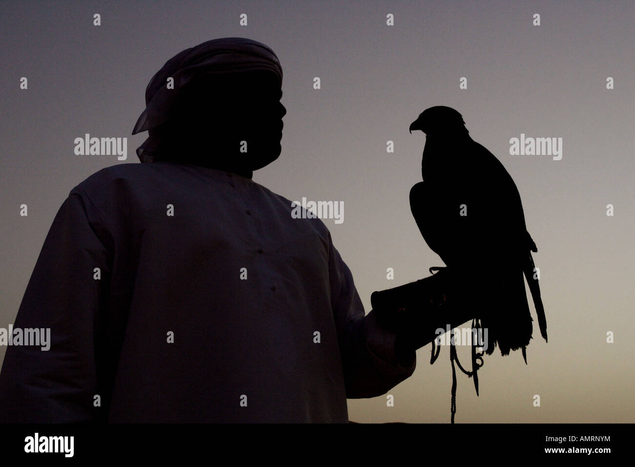 L'homme arabe dans le désert, avec son falcon Banque D'Images