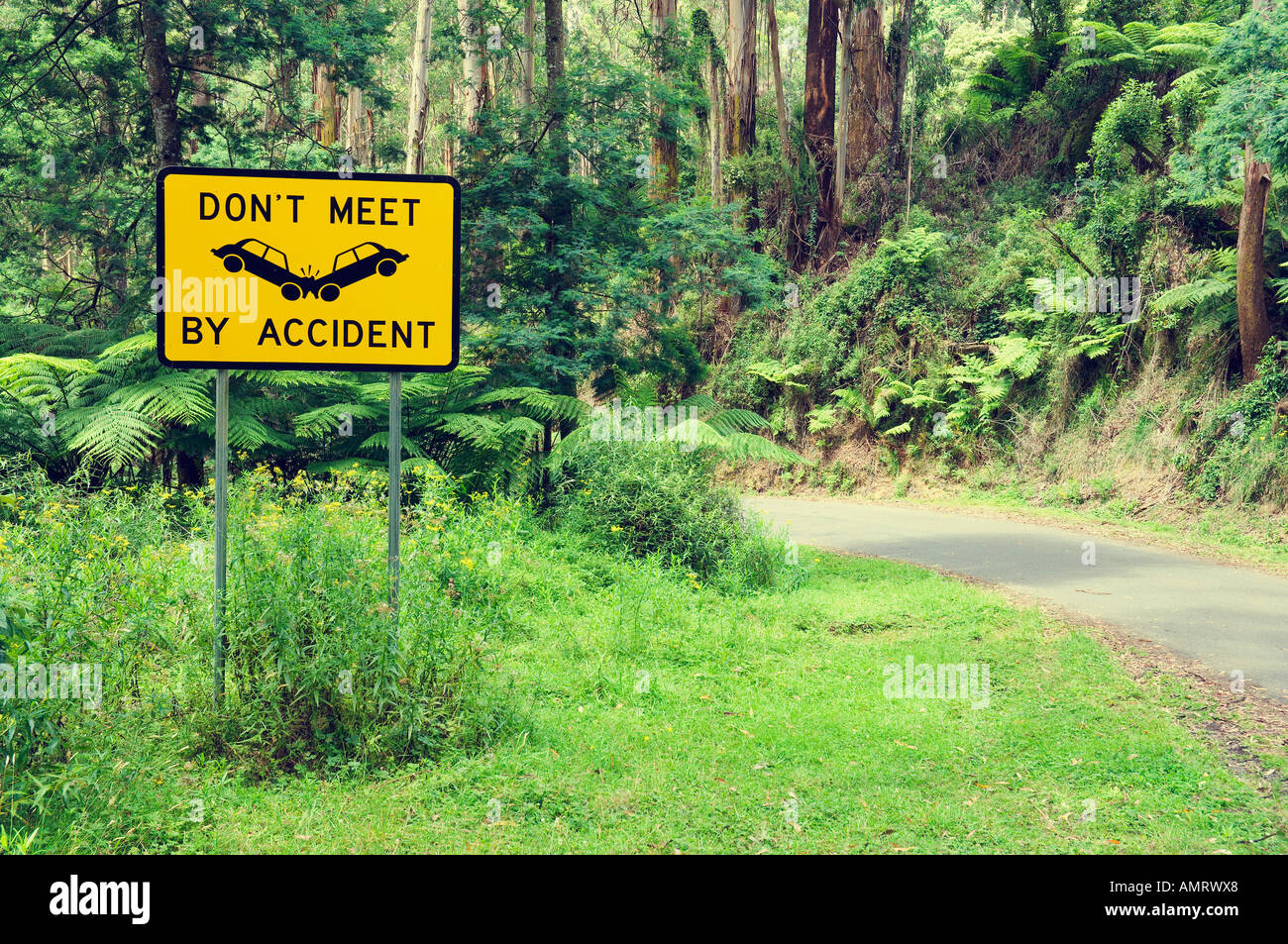 Route par Tarra Bulga National Park, Victoria, Australie Banque D'Images
