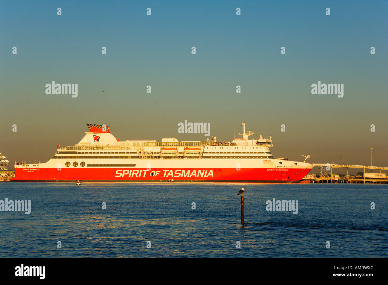 Spirit of Tasmania, Ferry Port Melbourne, Melbourne, Victoria, Australie Banque D'Images