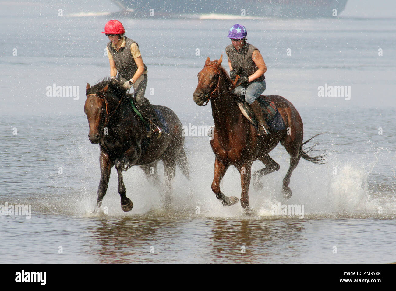 Les cavaliers galopant dans l'eau sur la rive de l'Elbe, Hambourg, Allemagne Banque D'Images