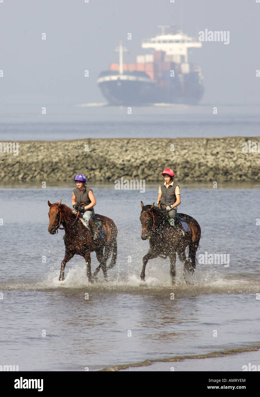 Les cavaliers galopant dans l'eau sur la rive de l'Elbe, Hambourg, Allemagne Banque D'Images