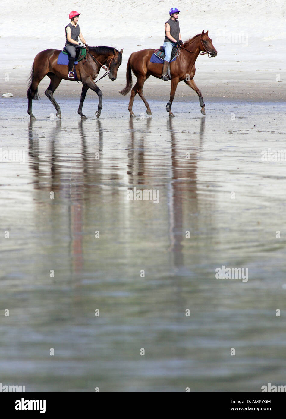 Les cavaliers sur la rive de l'Elbe, Hambourg, Allemagne Banque D'Images
