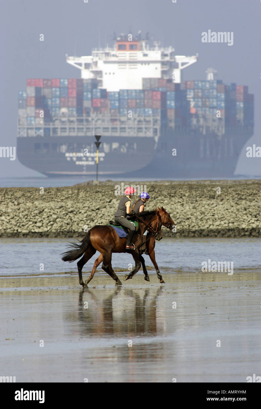 Les cavaliers sur la rive de l'Elbe, Hambourg, Allemagne Banque D'Images