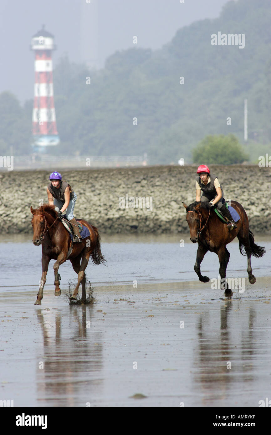 Les cavaliers sur la rive de l'Elbe, Hambourg, Allemagne Banque D'Images
