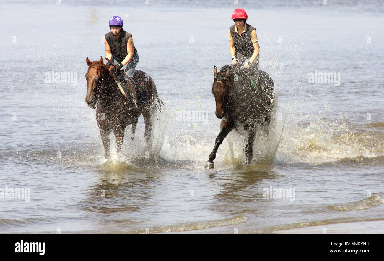 Les cavaliers galopant dans l'eau sur la rive de l'Elbe, Hambourg, Allemagne Banque D'Images