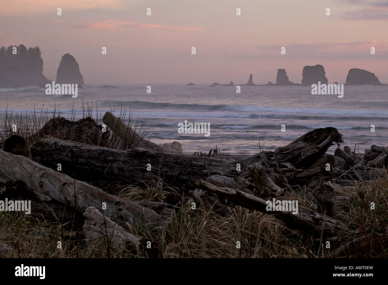 Le Parc National Olympique, la Push, première plage, la péninsule Olympique, Washington, USA, Amérique du Nord. Banque D'Images