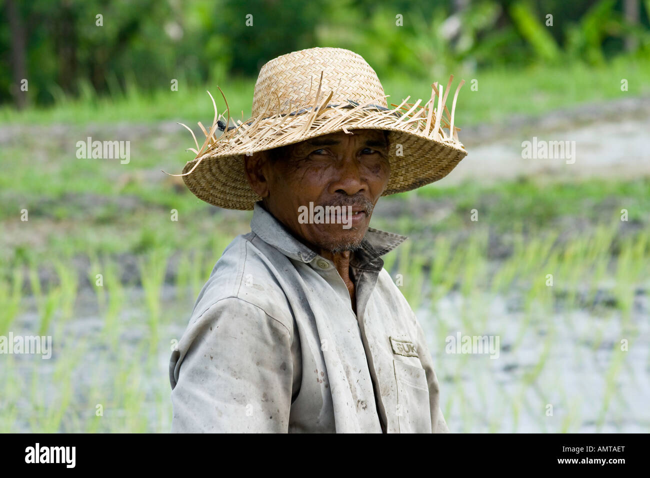 Portrait d'un cultivateur de riz, Ubud, Bali Indonésie Banque D'Images