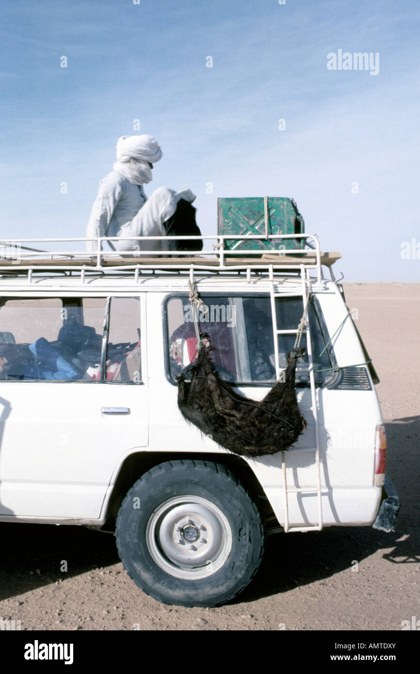 Assis sur le toit de la voiture Banque de photographies et d’images à ...