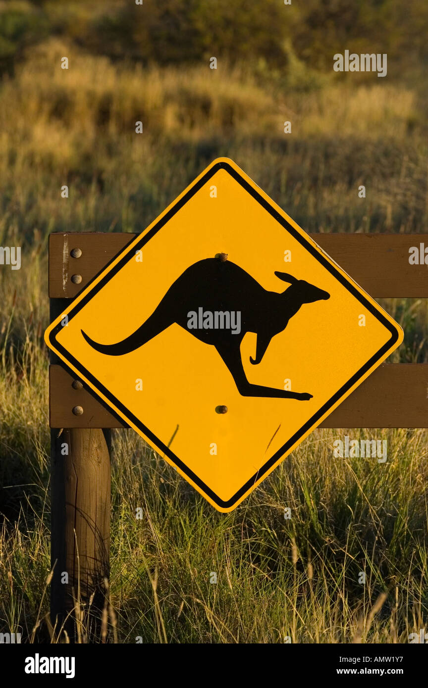 Kangoroo panneau d'avertissement, de l'Australie Banque D'Images