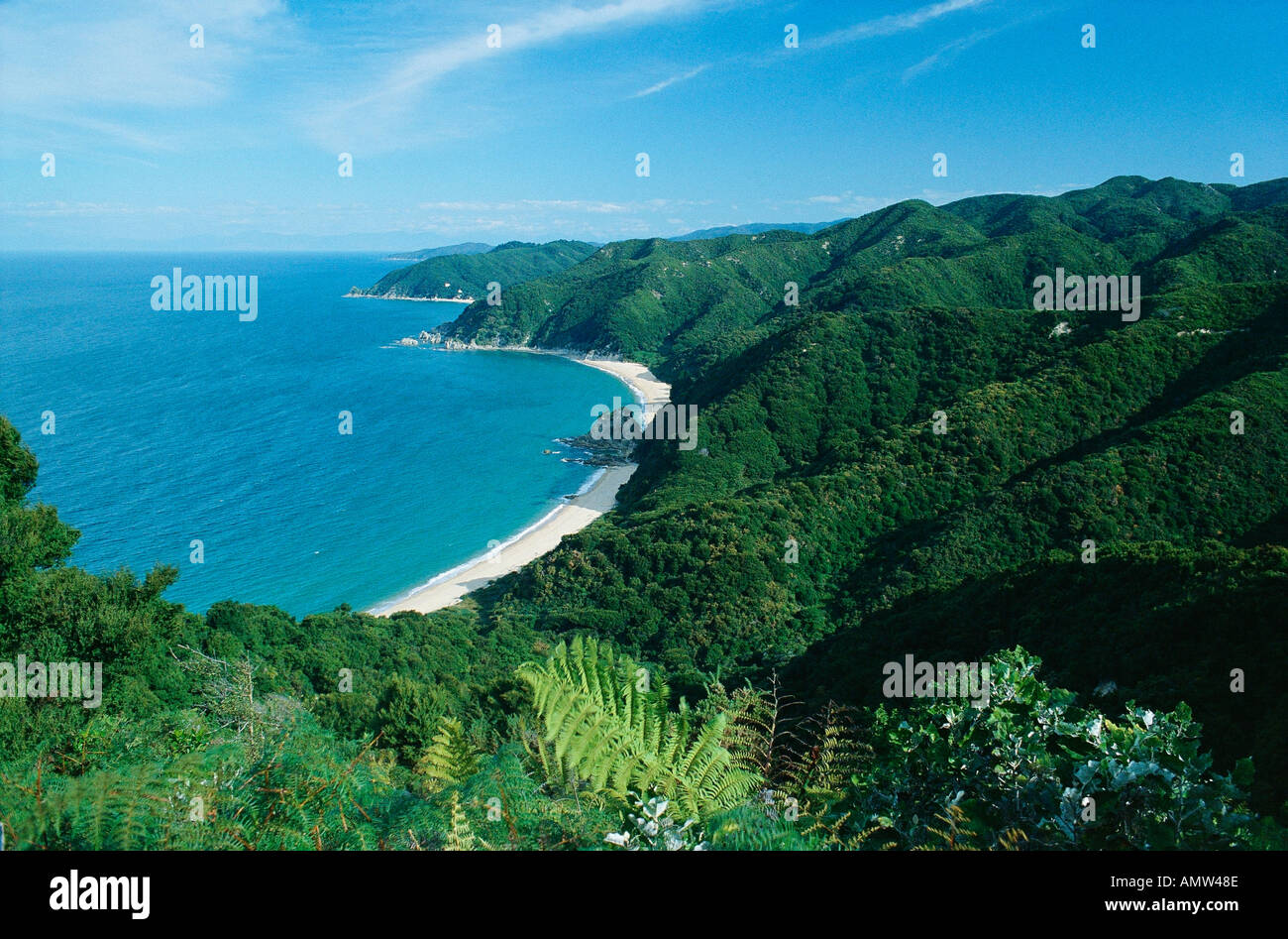 L'Abel Tasman Coast Parc national Abel Tasman ile sud Nouvelle Zelande Banque D'Images