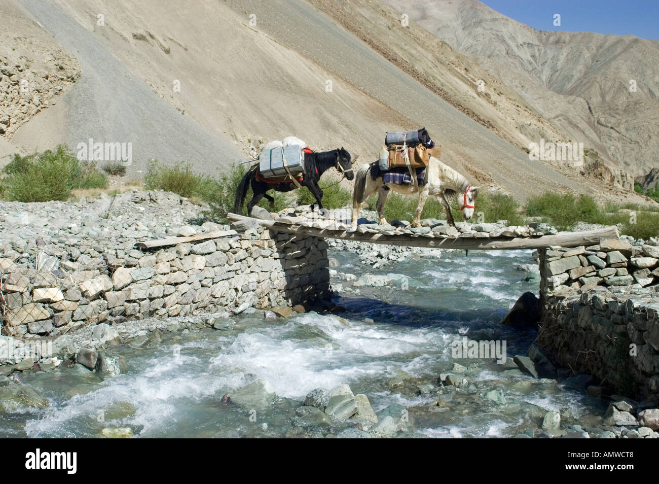 Pack Horse traversant une rivière, Hemis National Park, Ladakh, le Jammu-et-Cachemire, l'Inde Banque D'Images