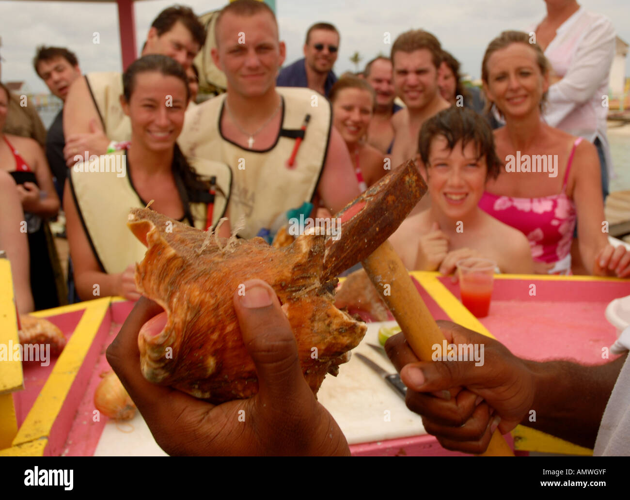 Perle de culture Bahamas oyster Pearl Island Nassau Chasse au trésor tuba Banque D'Images