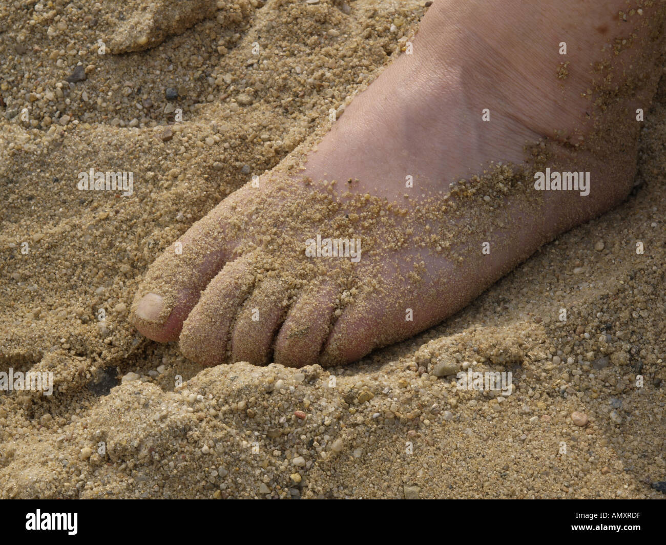 Les pieds dans le sable Banque D'Images