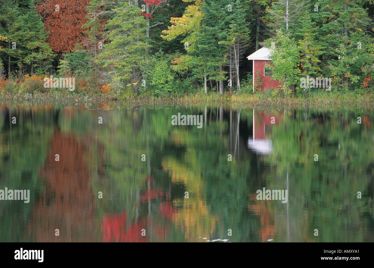Forêt de couleur de l'automne sur un lac dans les montagnes Adirondack New York Banque D'Images