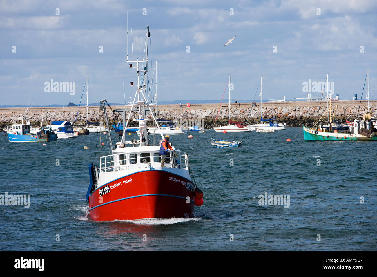 Retour au Port de chalutiers de Brixham transportant des prises d'Anchois Banque D'Images