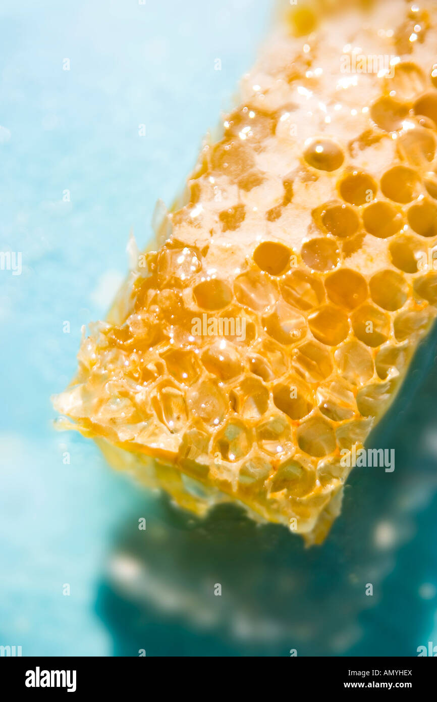 Nid d’abeille Banque D'Images