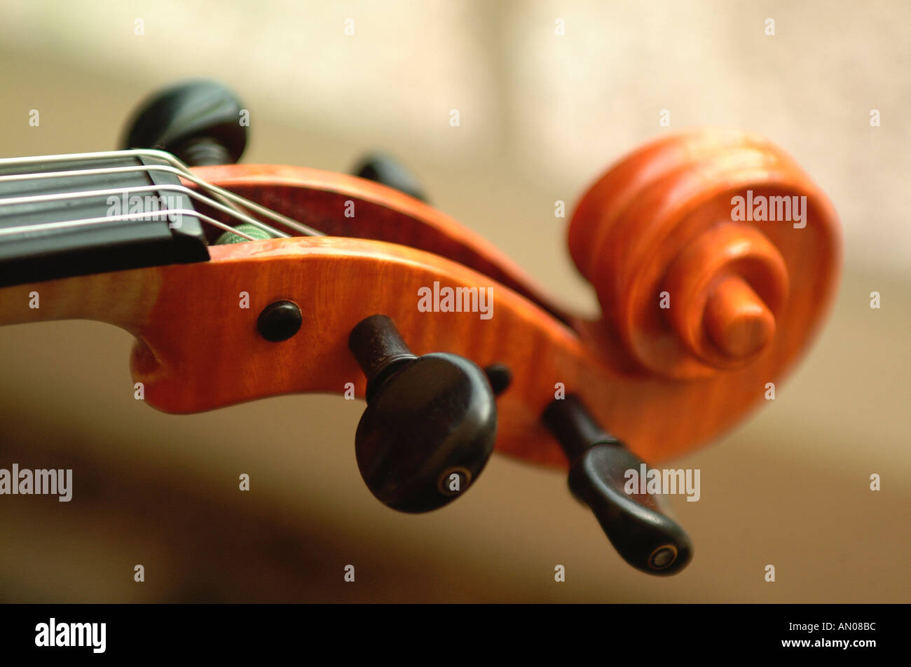 Corde de violon en bois de l'art sculptural de compétences sonores musicales de qualité raffinée instrument de musique a fait part de la culture d'élite conçu u fermer Banque D'Images