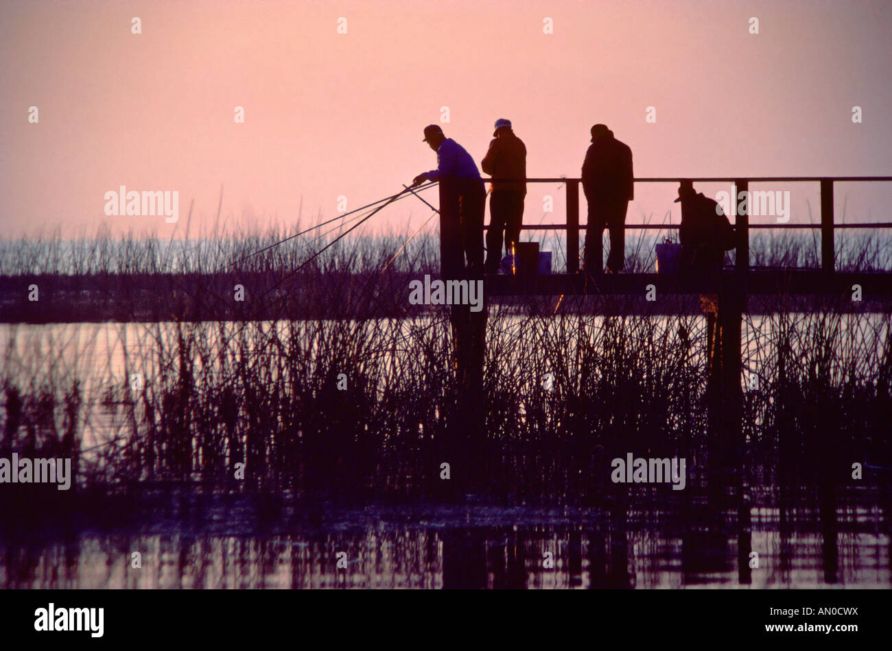 Les pêcheurs à l'aube sur le lac Okeechobee Florida USA Banque D'Images