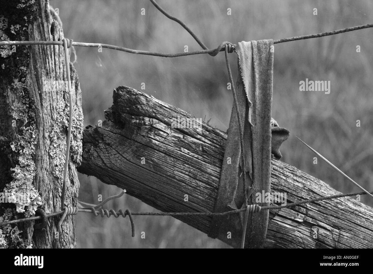 Vieille clôture Banque D'Images