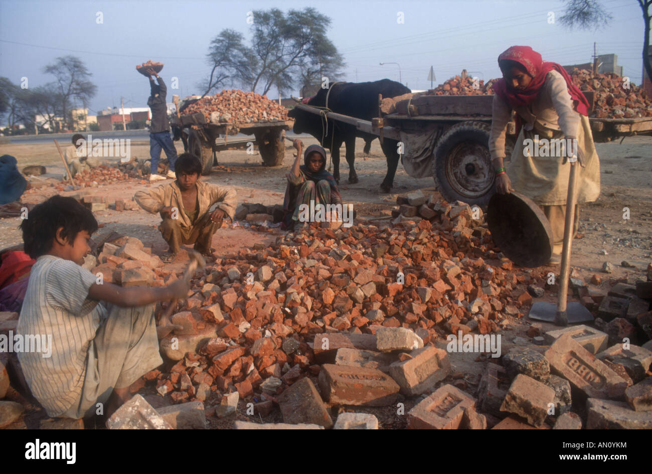 Groupe de la famille au travail au moyen de marteaux pour casser des briques pour la réparation. L'Inde Banque D'Images