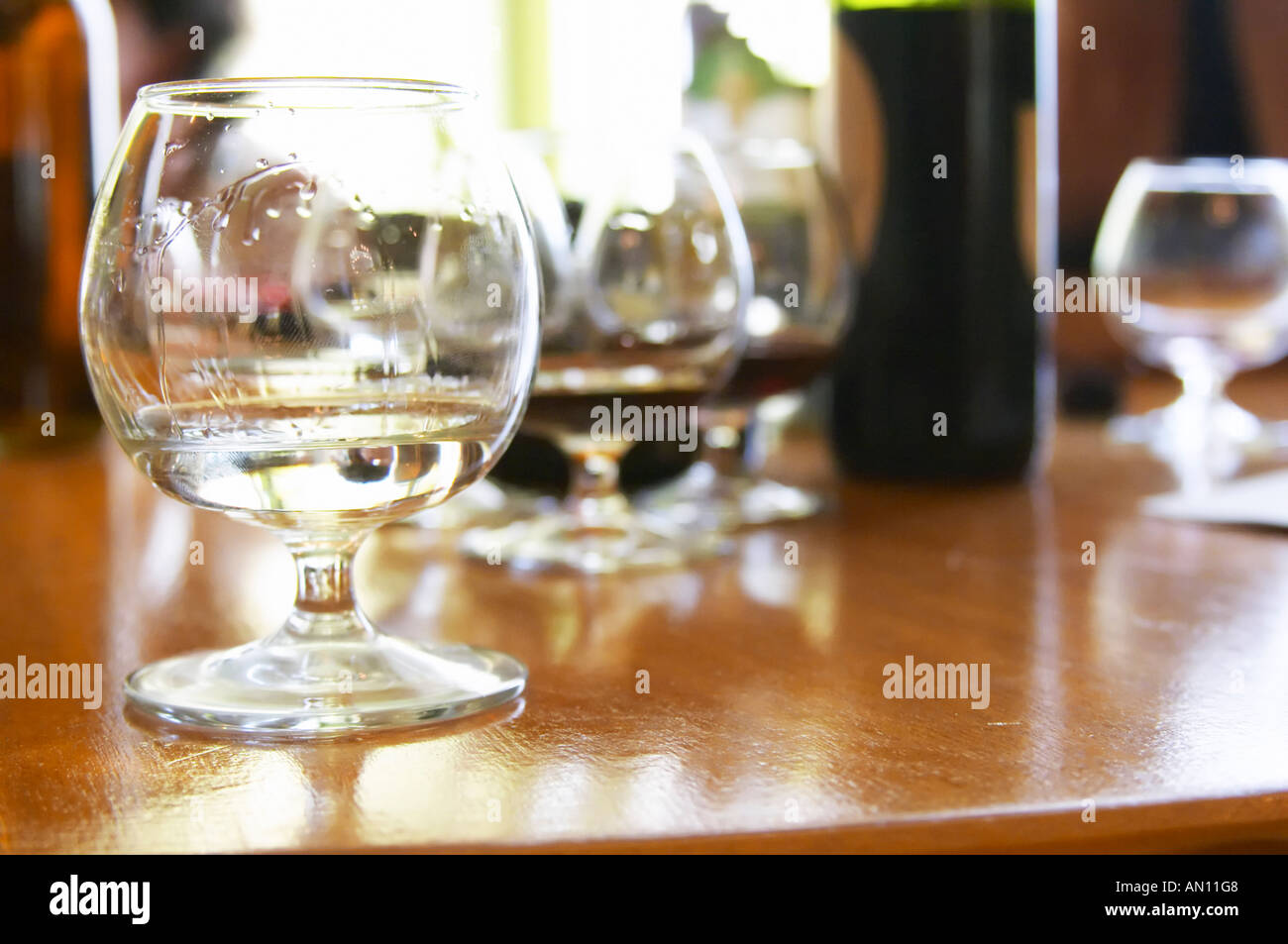 Un petit verre verre de raki Muscat grappa eau-de-style avec d'autres verres  dans l'arrière-plan. Kantina e Pijeve Gjergj Kastrioti Skanderbeg  Skenderbeu Winery, Durres. L'Albanie, des Balkans, de l'Europe Photo Stock  - Alamy
