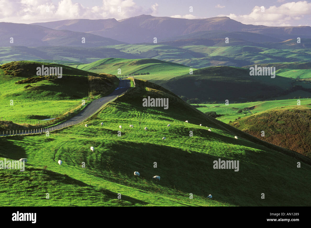 UK Wales Powys Cadair Idris Cambrian Mountains Dylife Mountain JM2 Banque D'Images