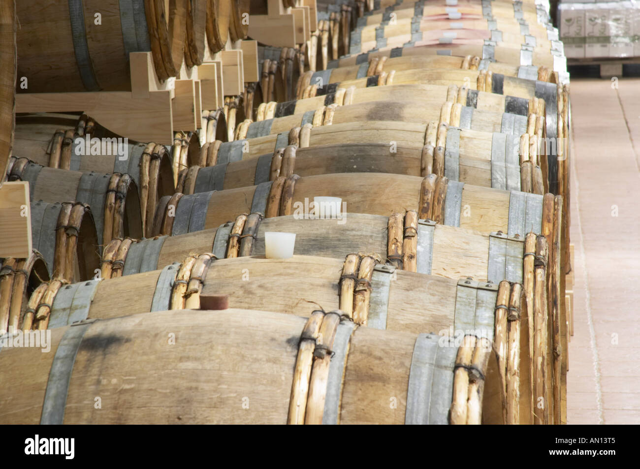 Des fûts de chêne pour le vieillissement du vin. L'herzégovine Produkt Winery, Citluk, près de Mostar. Russie Bosne i Hercegovine. Bosnie Herzégovine, l'Europe. Banque D'Images