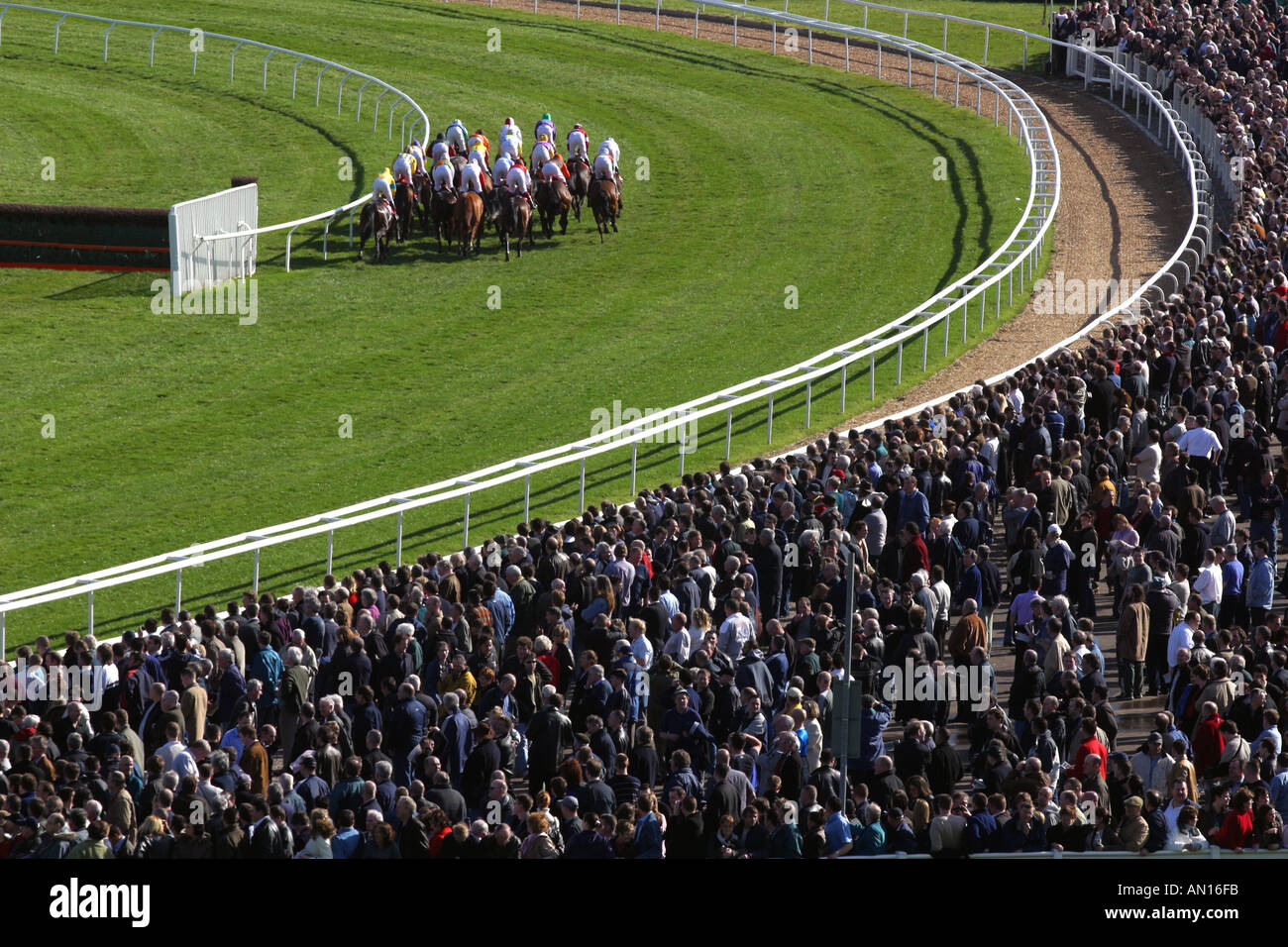 La semaine de la coupe d'or festival de Cheltenham. Banque D'Images