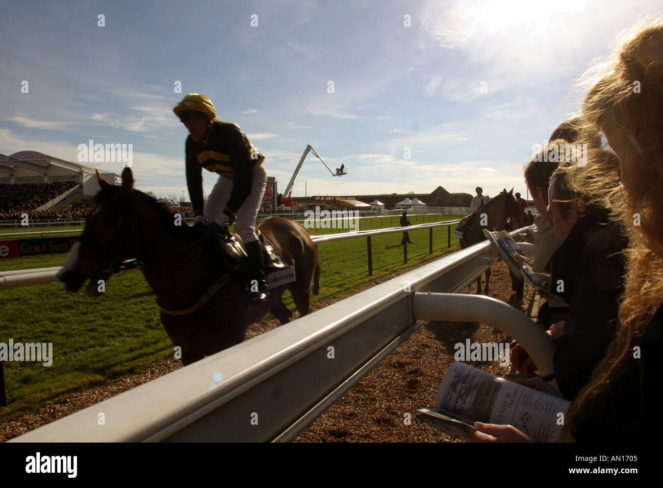 Cheltenham Festival d'action de course de chevaux Banque D'Images