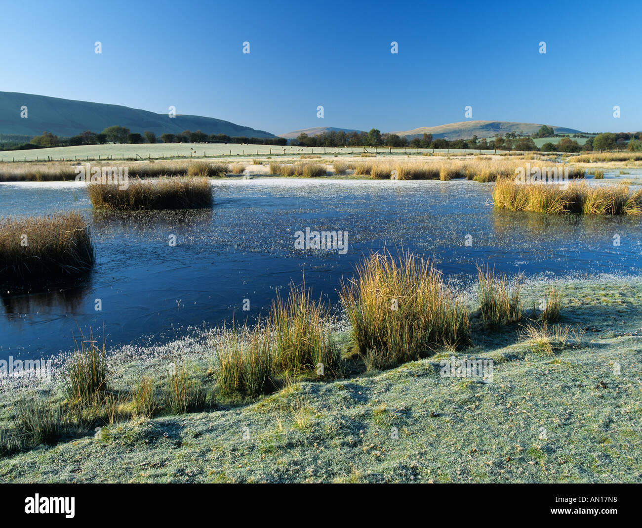 Givre sur Lake près de Brecon Powys Pays de Galles UK Banque D'Images