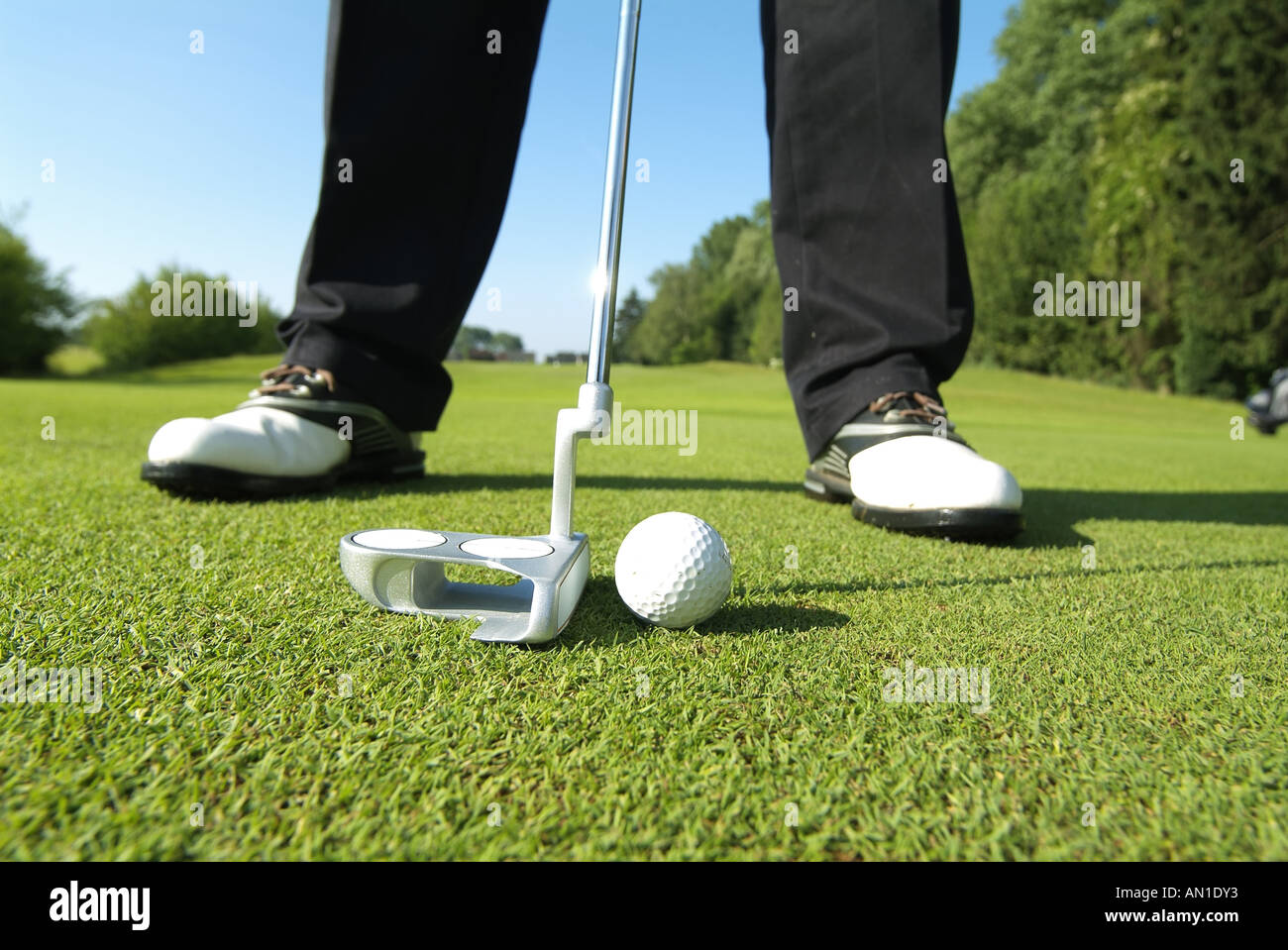 Golf Golf Golf, close-up d'un joueur de golf mise sur sa balle de golf Banque D'Images