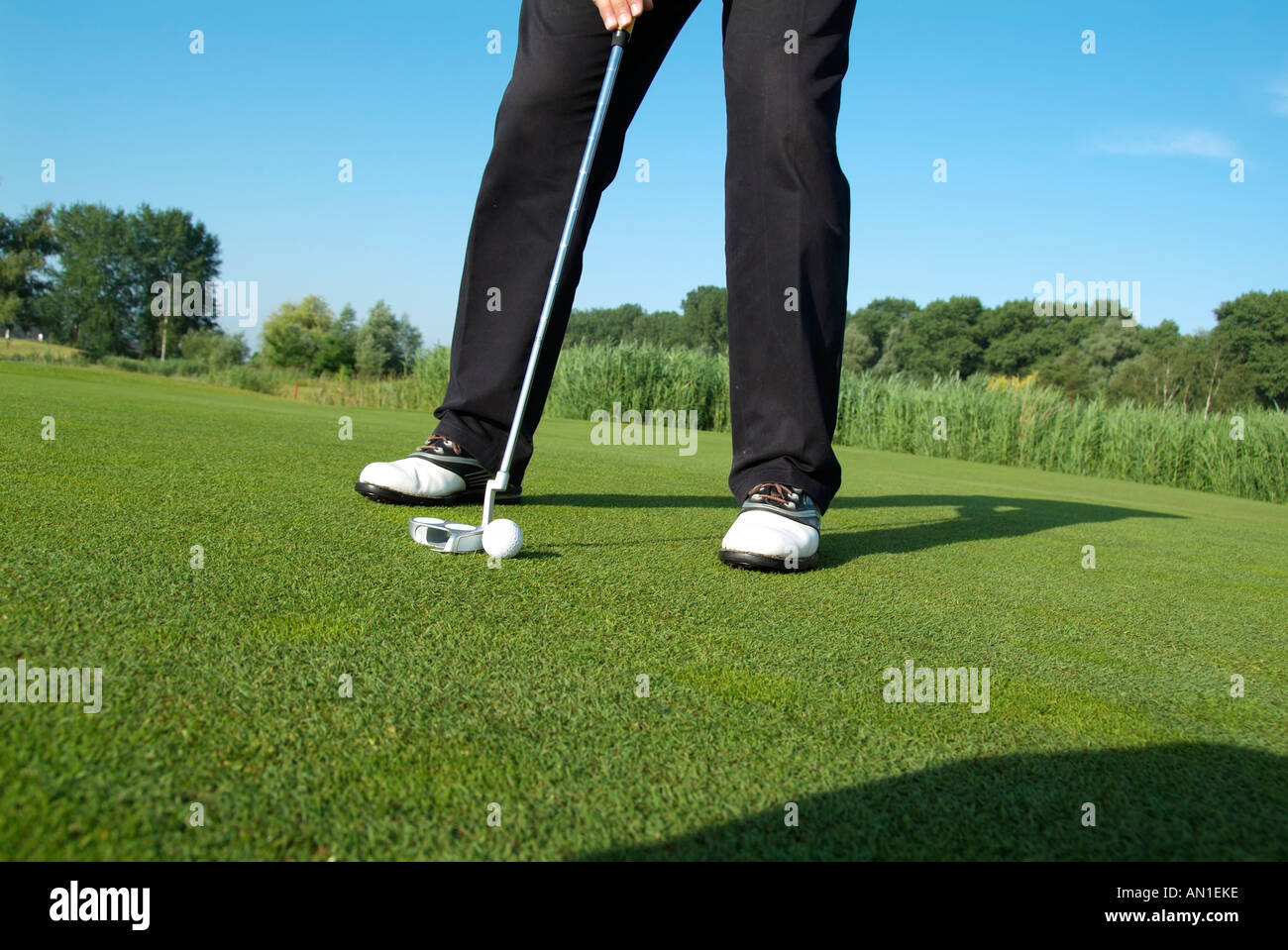 Golf Golf Golf, close-up d'un joueur de golf mise sur sa balle de golf Banque D'Images