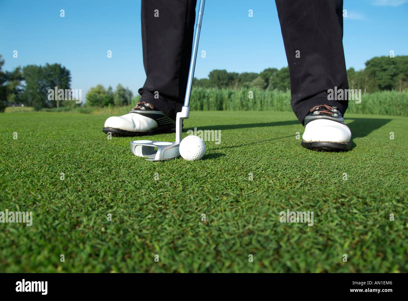 Golf Golf Golf, close-up d'un joueur de golf mise sur sa balle de golf Banque D'Images