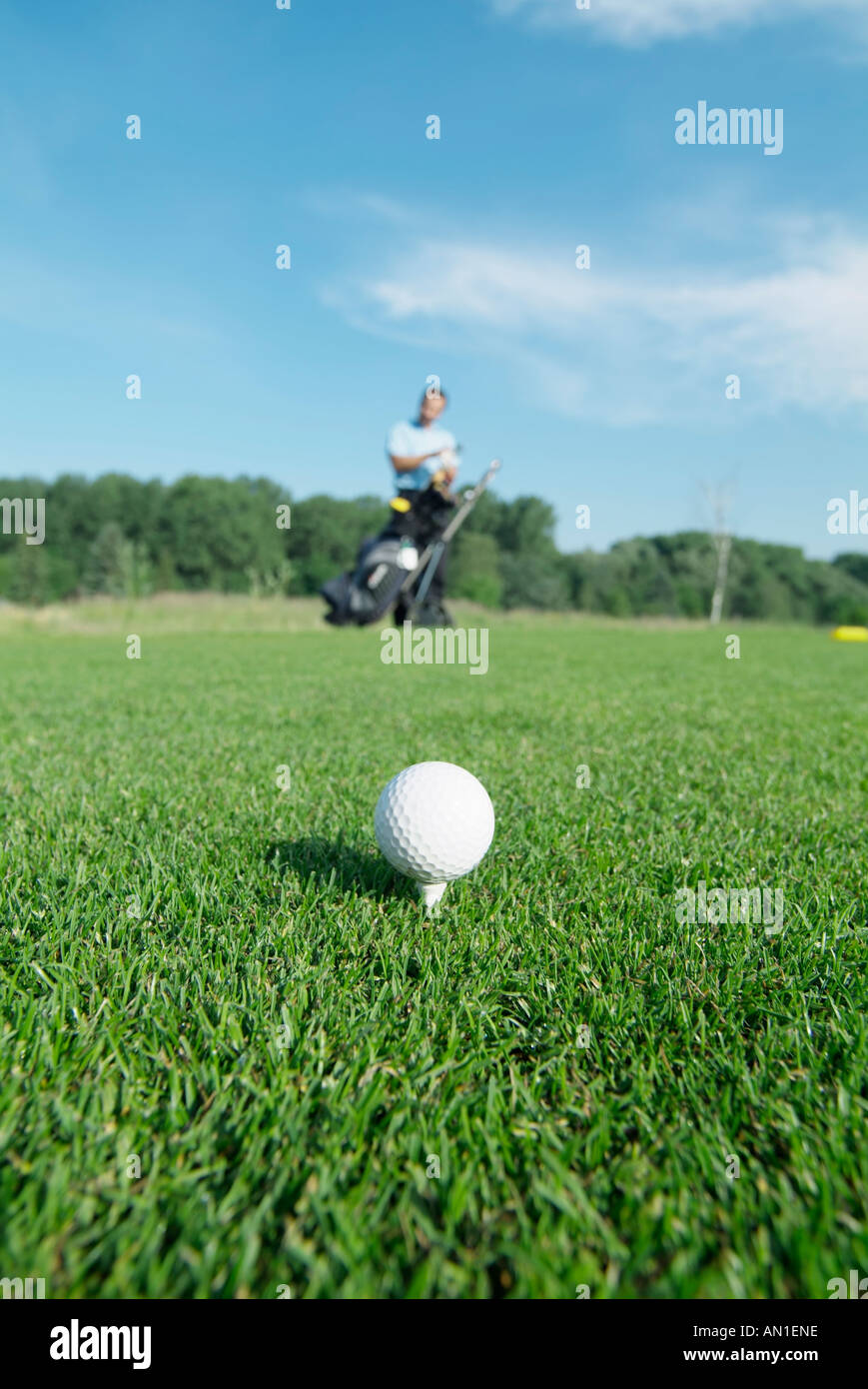 Golf Golf Golf, close-up d'une balle de golf sur un raccord en t sur le greenfee Banque D'Images