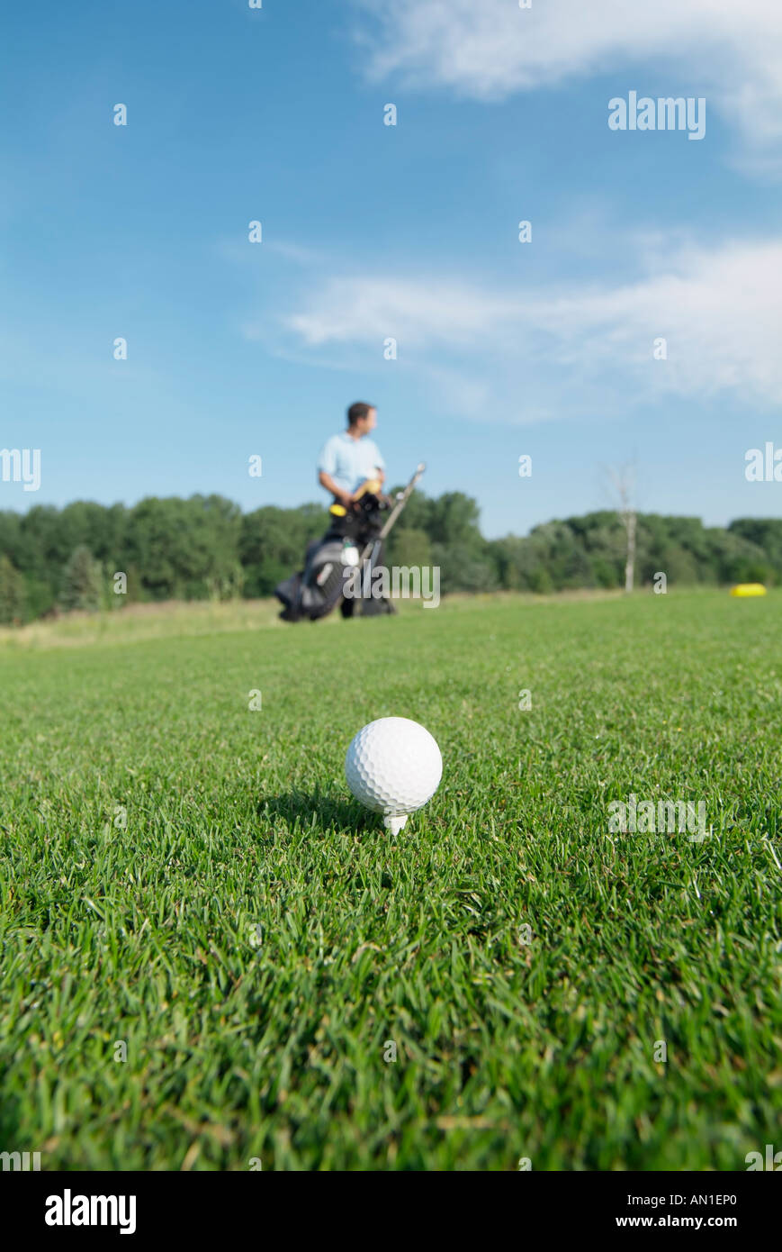 Golf Golf Golf, close-up d'une balle de golf sur un raccord en t sur le greenfee Banque D'Images
