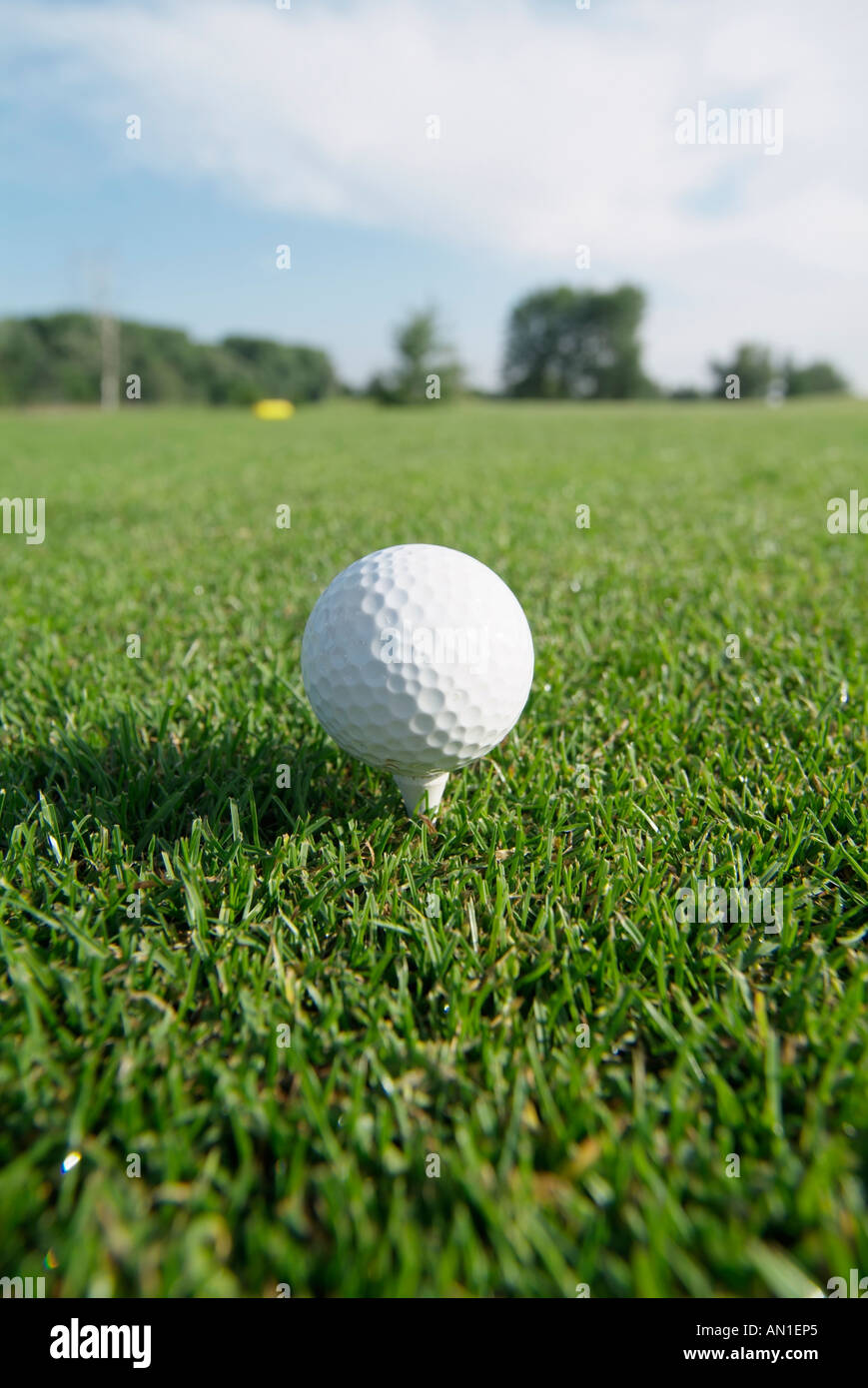 Golf Golf Golf, close-up d'une balle de golf sur un raccord en t sur le greenfee Banque D'Images