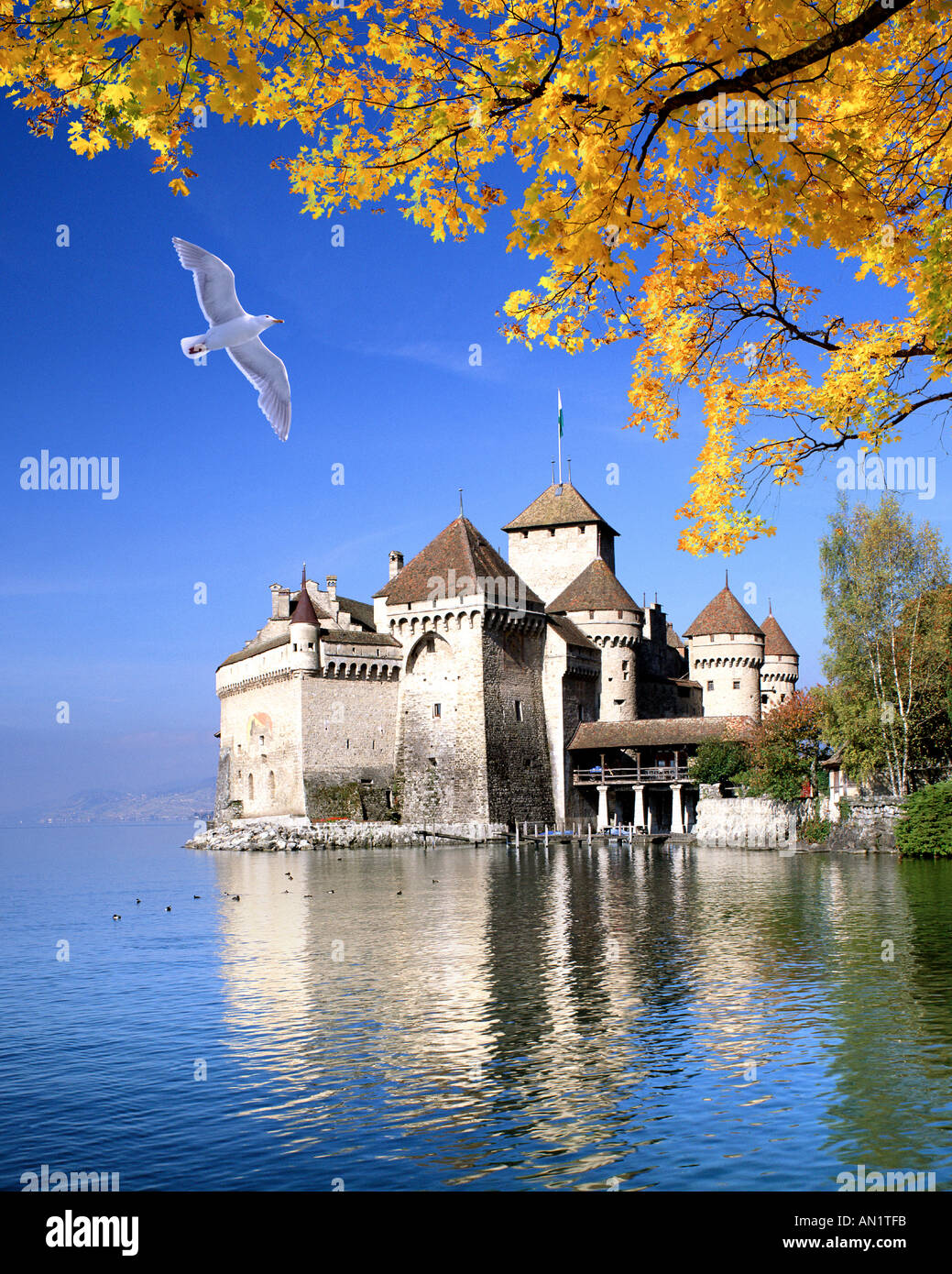 CH - VAUD : Château de Chillon sur le Lac Léman Banque D'Images