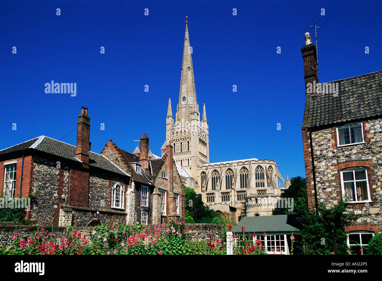 L'Angleterre, l'East Anglia, Norwich, Norfolk, Cathédrale de Norwich Banque D'Images